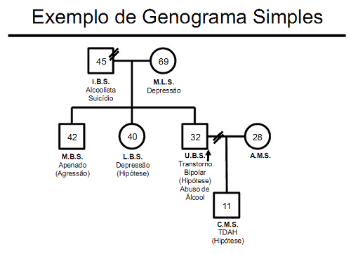 EXEMPLO DE GENOGRAMA