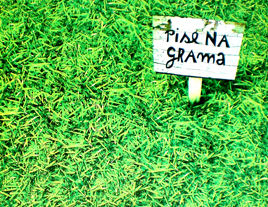 pise-na-grama